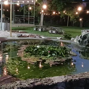 Little Pond