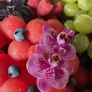 Give us a call to create your next fruit tray, your guests will be blown away!