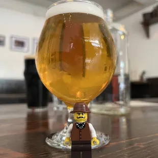 Pliny the Elder!