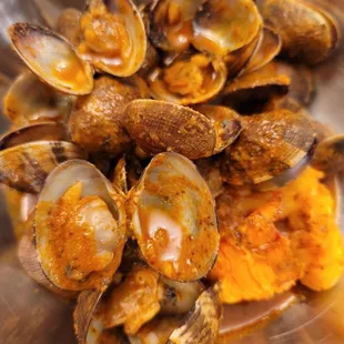 Clams and a lobster tail on Allsome sauce spicy