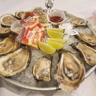 1 dozen oysters