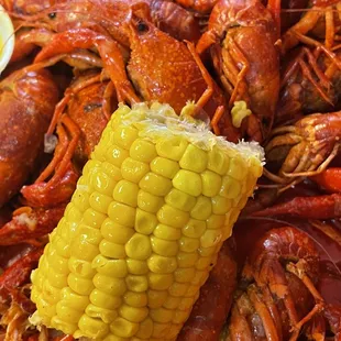 Great food and great service definitely coming back