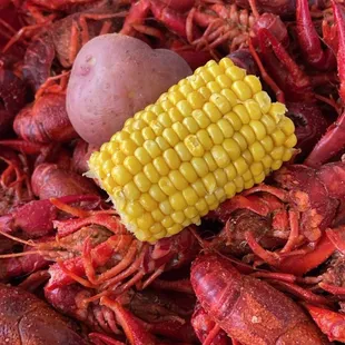 3lbs Boiled Crawfish medium spice.