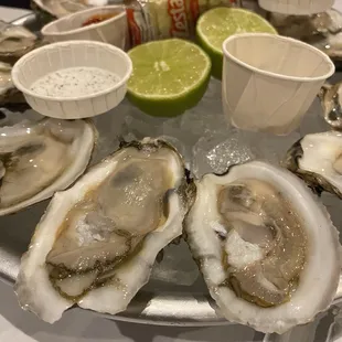 Raw oysters on the half shell