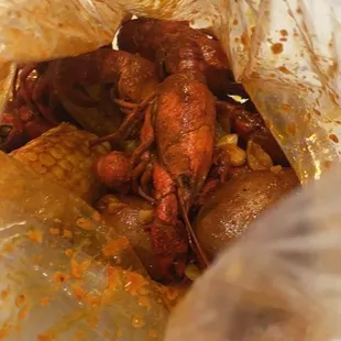 Crawfish