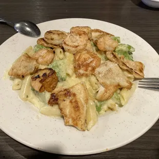 chicken and shrimp Alfredo special (not on regular menu)
