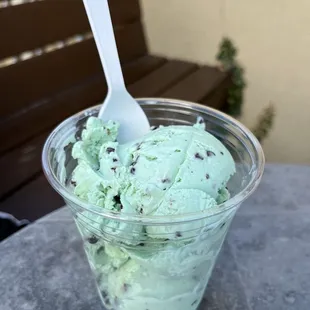 Two Scoops of Mint Chocolate Chip Ice Cream
