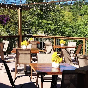 Welcome to the Patio