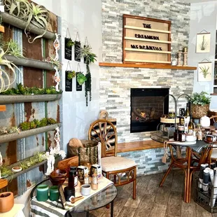 a store with a fireplace and shelves of plants