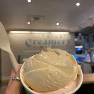 a hand holding a cup of ice cream
