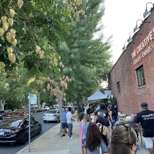 Yelp Elite Experience: Kalani Cakes #grateful