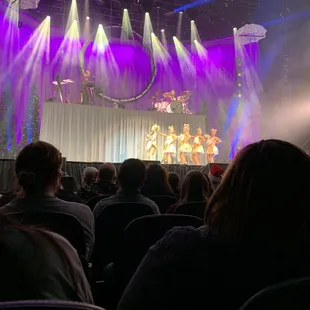a crowd of people watching a performance