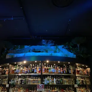 a bar filled with bottles of alcohol