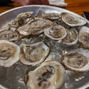 oysters