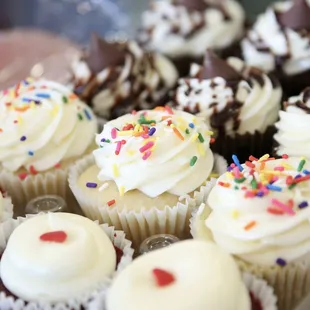 Birthday cupcakes