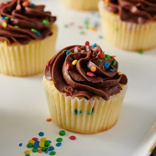 chocolate frosting and sprinkles