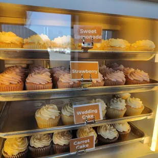 Cupcake display case