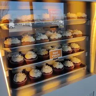 Cupcake display case
