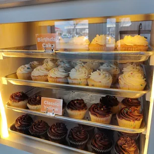 Cupcake display case