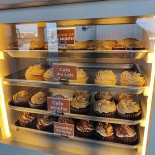 Cupcake display case