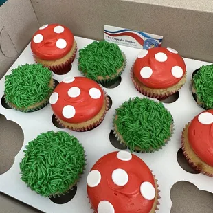 Woodland fairy Cupcakes