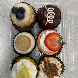 6 Jumbo Cupcakes