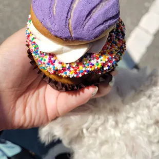 Look at that adorableee concha! (This was during the Latin music festival in DT Hayward)