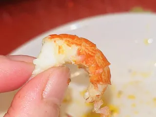 Angler's Choice