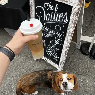 Asian pear green tea with crystal boba and my dog