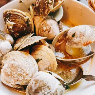 Littlenecks Siciliano