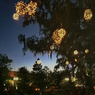 Really cool lighting display at the Food Truck Bazaar park area