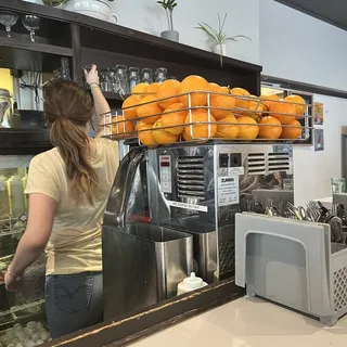 Fresh Squeezed Orange Juice