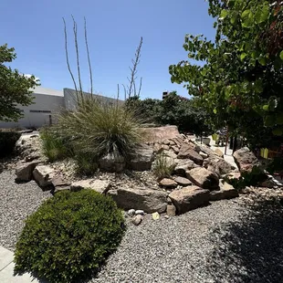 Outdoor landscaping.