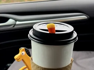 Sierra Mountain Espresso