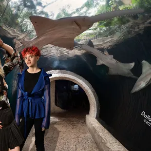 That willing suspension of disbelief for the moment, which constitutes poetic faith.          -Samuel Taylor Coleridge