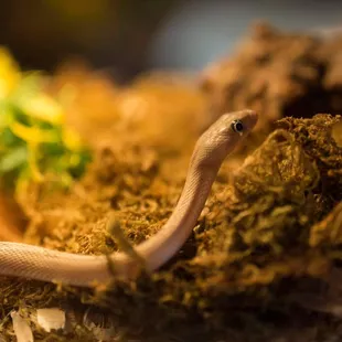 Photo By: Nikolai Gonzales