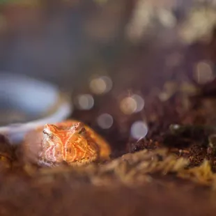 Photo By: Nikolai Gonzales