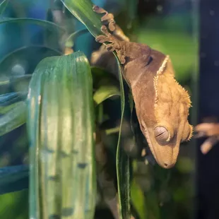 Photo By: Nikolai Gonzales