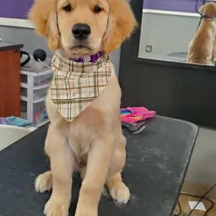 Who's that handsome boy?