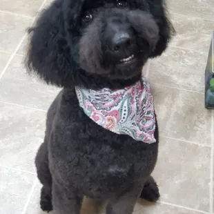 Are we going on a walk now?