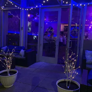 a patio area with plants and lights