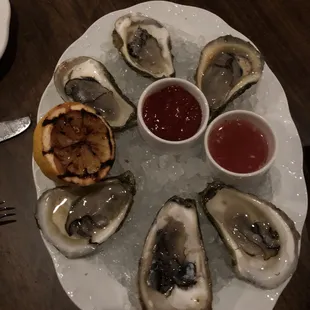 Oysters