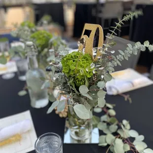 South Rooftop, Elderwood