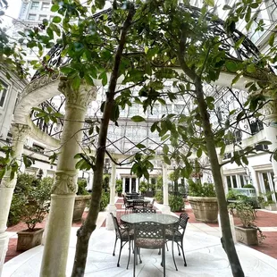 Very pretty courtyard at the Ritz-Carlton.