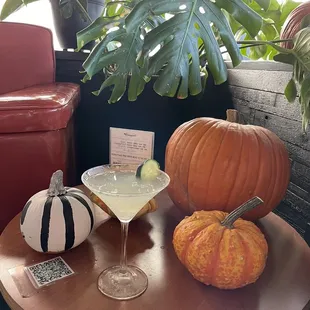 Cucumber patch and cool Halloween decor!