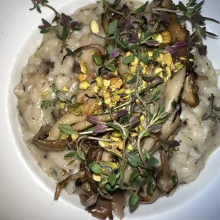 Wild Mushroom Risotto