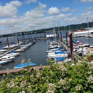 a marina full of boats