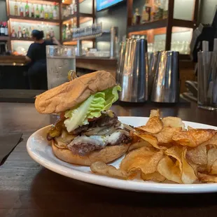 Degenerate Burger