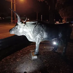 The Deland Stockyard, Deland FL; 2022