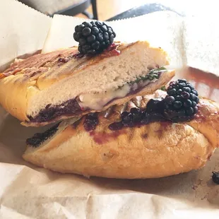 Berry Cheese Prosciutto Panini